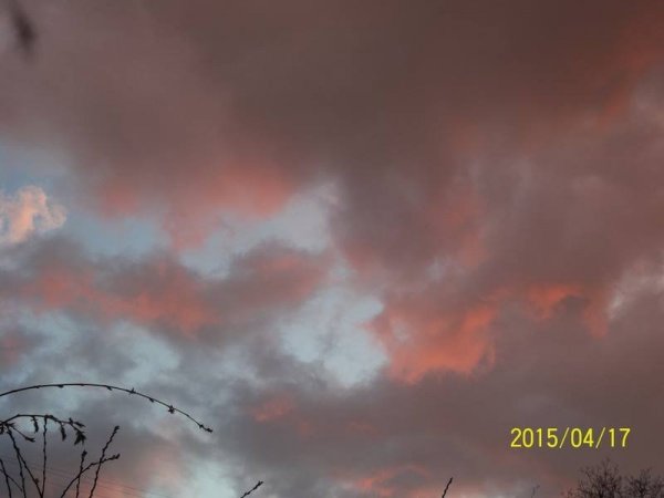 nap_zöldkerti mici2