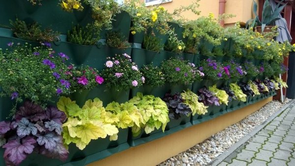 Bodrnárné Kiss Gabriella