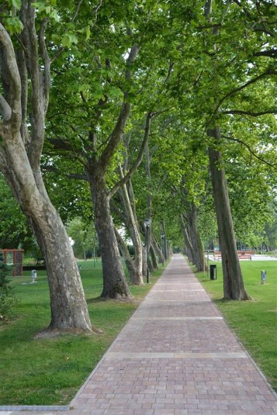 balatongyörök7