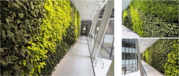 Eiffel-Palace_Green-wall-web