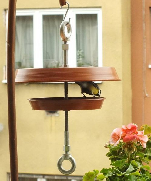 Sztárainé-Szűcs-Gabriella-498x600