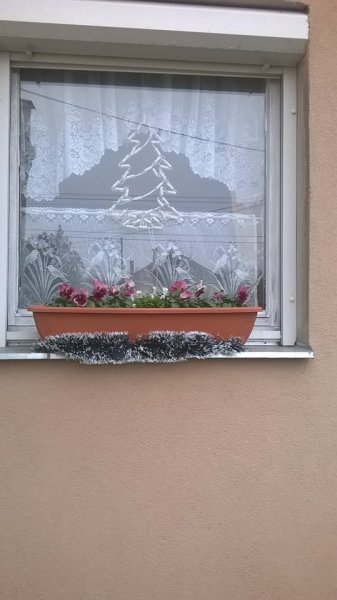 ablak54 Ferenczi Beáta