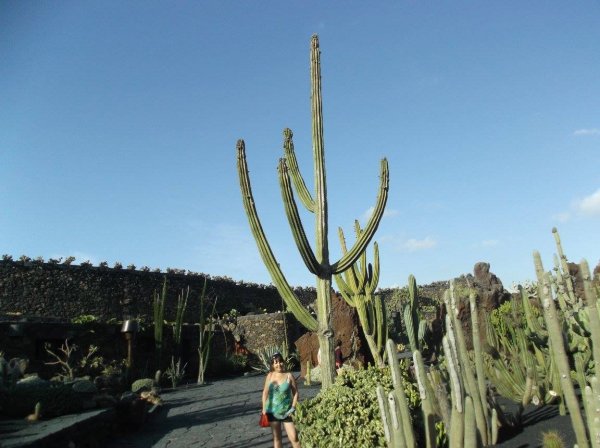 Lanzarote19