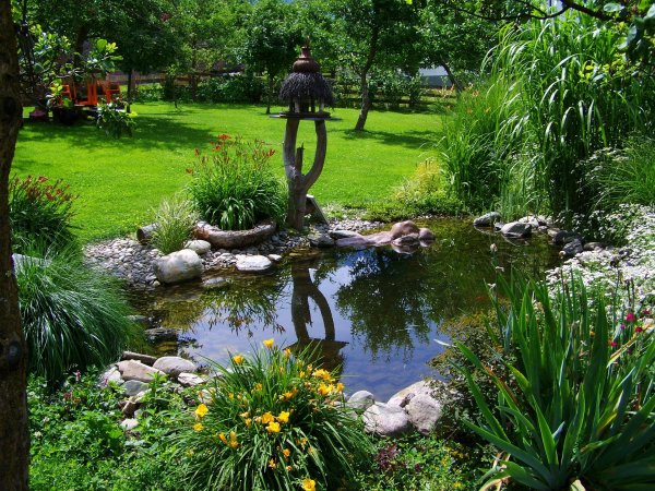garden-pond-823722_1920