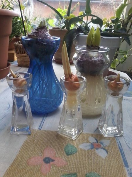 téli10_Tódi Szabó Erzsébet