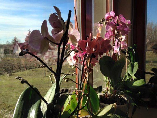 téli11_Gálné Berente Andrea