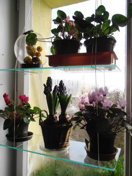 téli2_Pintér Márta