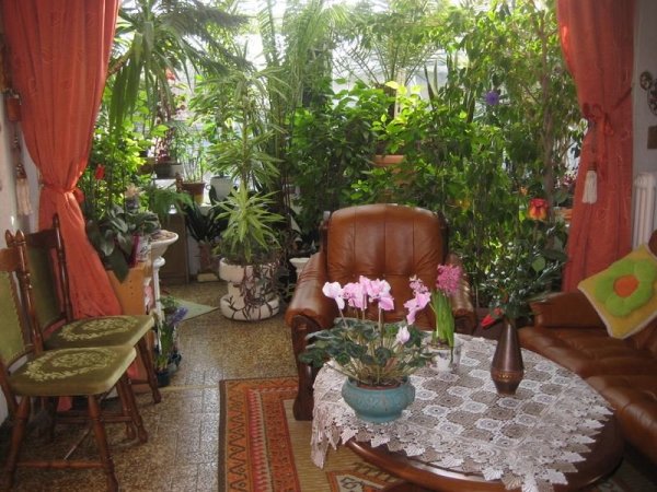 téli6_szabó Aladár