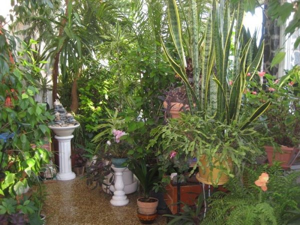 téli7_szabó Aladár