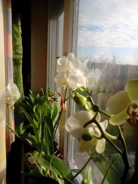 téli9_Baráth Boglárka