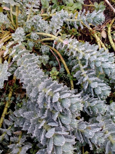 újév_Csipszerné Kati