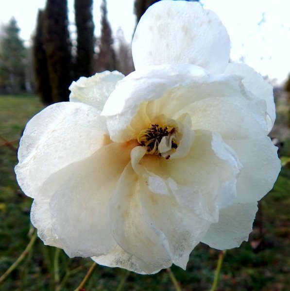 újév_Horváth István1