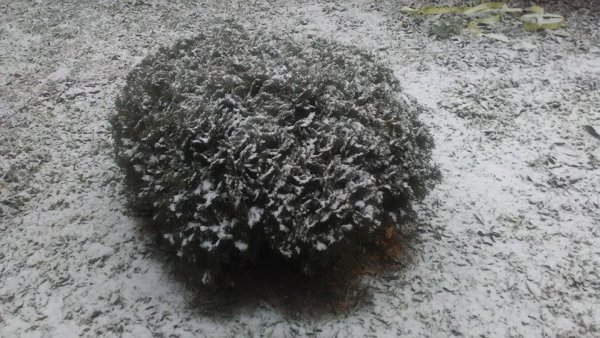 újév_Horváth Margit