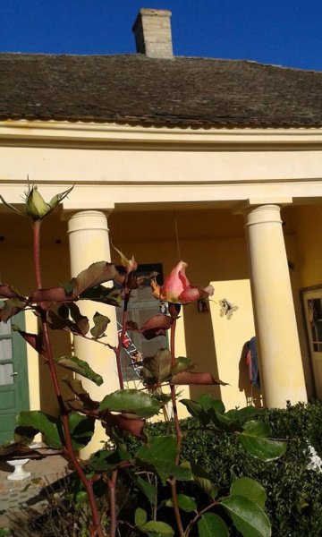 újév_Héjja Béláné Kecskeméti Magdolna