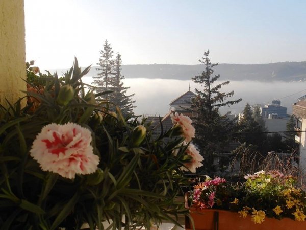 újév_Pintér Márta1