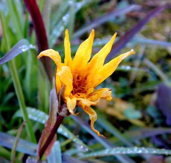 újév_horváth István