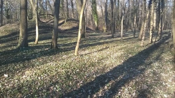 hóvirág_Benkóczi6