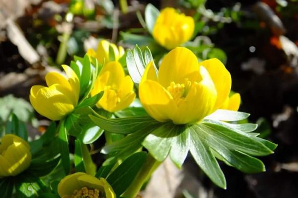 tavasz_Skuterané Salamon Anikó