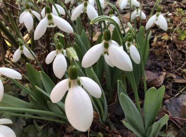 tavasz_Szécsény Zsuzsanna