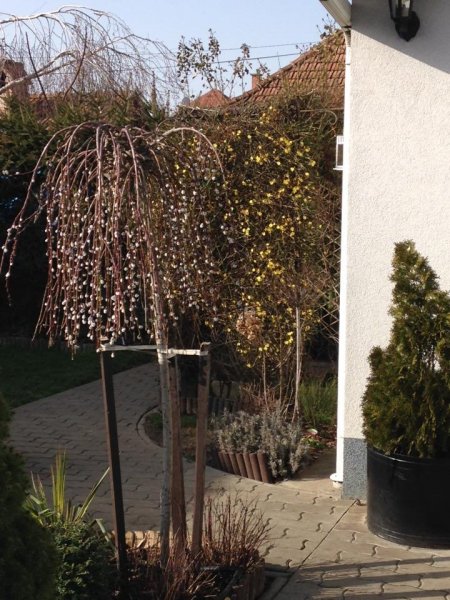 tavasz_Ács Dósa Mónika