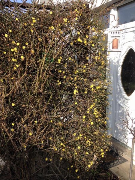 tavasz_Ács Dósa Mónika2