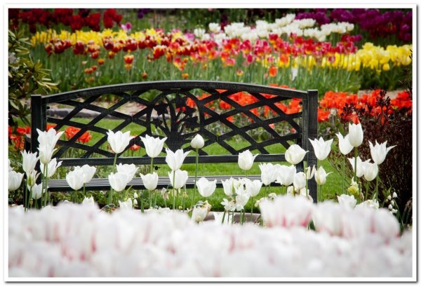 460565_439279312766033_2020022278_o