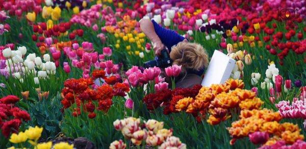 468259_627365650624064_1749447038_o