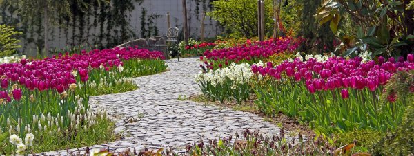 903480_612336245460338_285887147_o