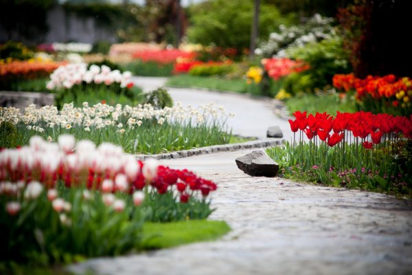 903560_609639022396727_1366829825_o