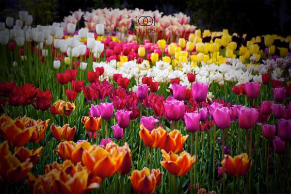 920519_622310037796292_579592658_o