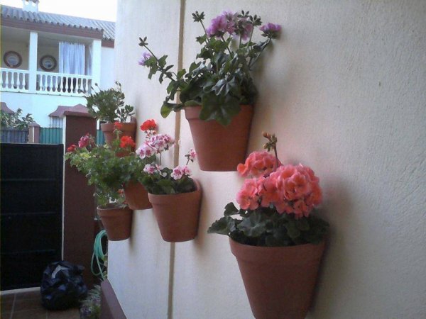 Sevilla_Balangóné Varga Gyöngyi1