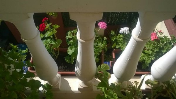 Sevilla_Balangóné Varga Gyöngyi10