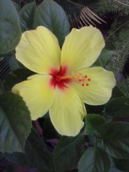 Sevilla_Balangóné Varga Gyöngyi9