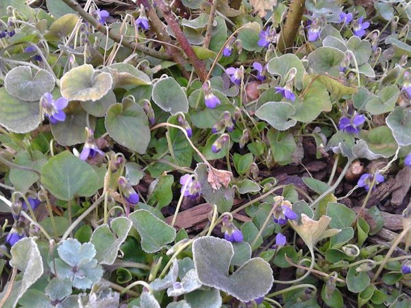 Tavasz16_Farkas Anikó