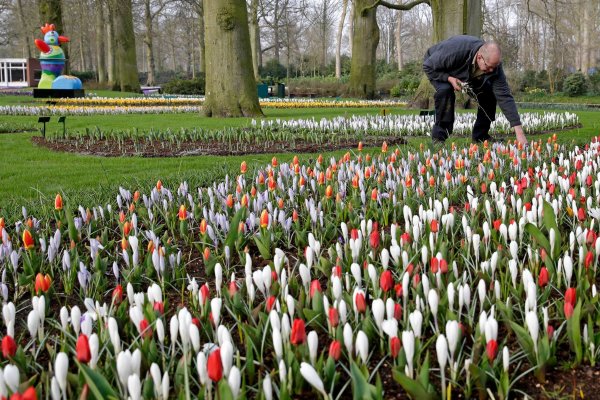 keukenhof1