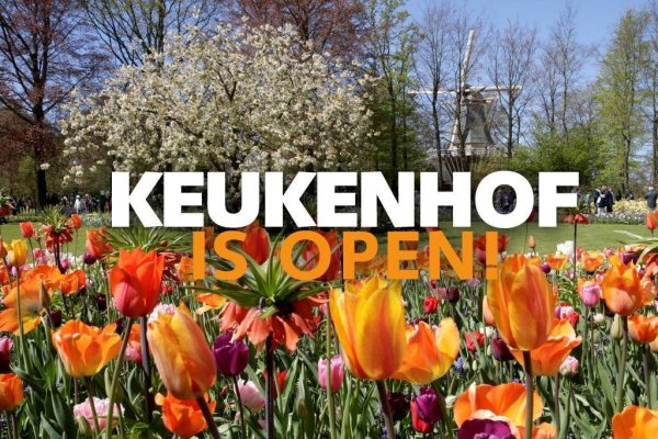 keukenhof13