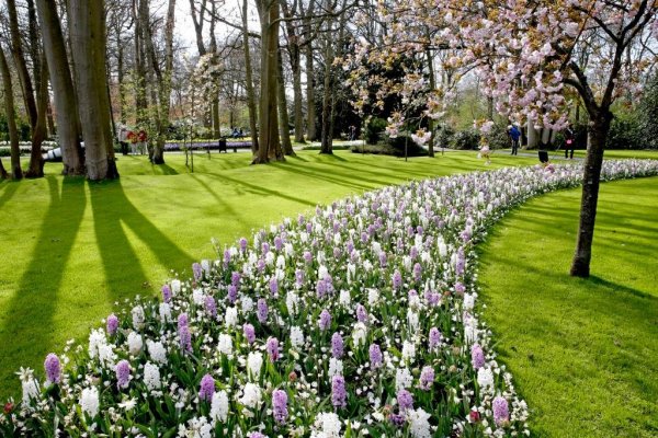 keukenhof18