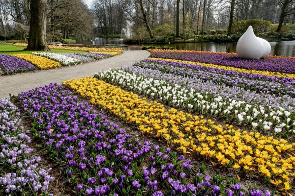keukenhof2