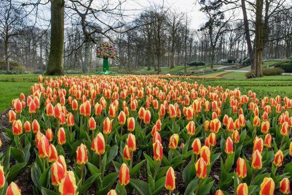keukenhof8