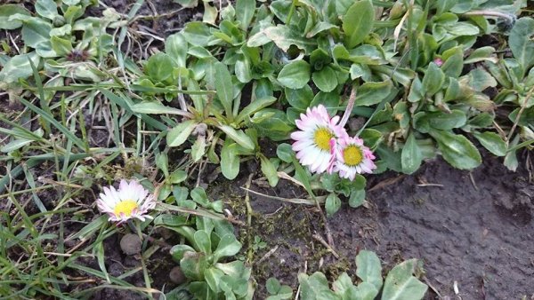 tavasz16_Halász Krisztina