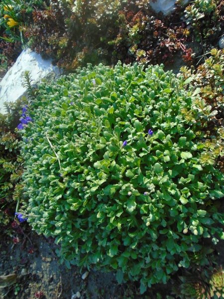 tavasz16_Soósné Ráchel2