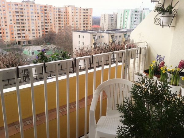 tavasz16_Viczai Károlyné1