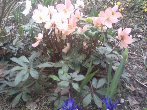 tavasz16_szekeres Mária