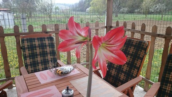 tavasz2016_Silvia Bodnárová