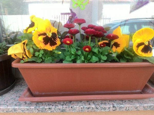 tavasz2016_Simonné Kinda Magdi