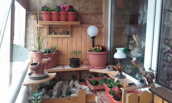 tavasz2016_kratochvill Csaba