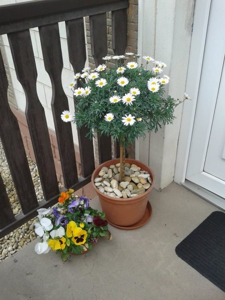 tavasz2016_rein Tünde1