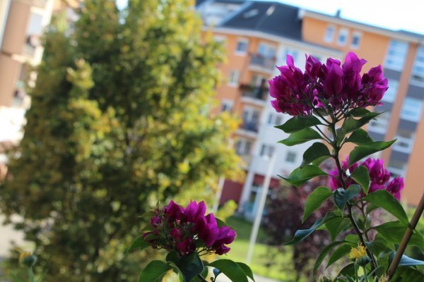 Szeptember_015-600x400