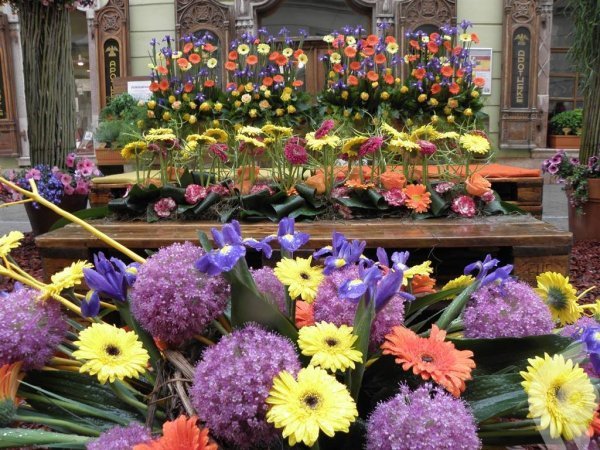 fehérvár18-600x450