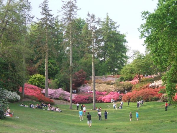 Valley Gardens